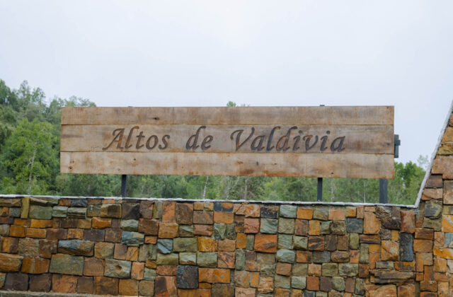 altos-de-valdivia-13