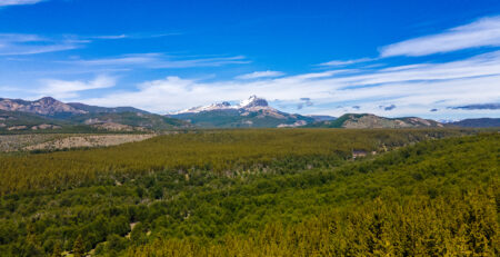 Terrenos Patagonia Broker