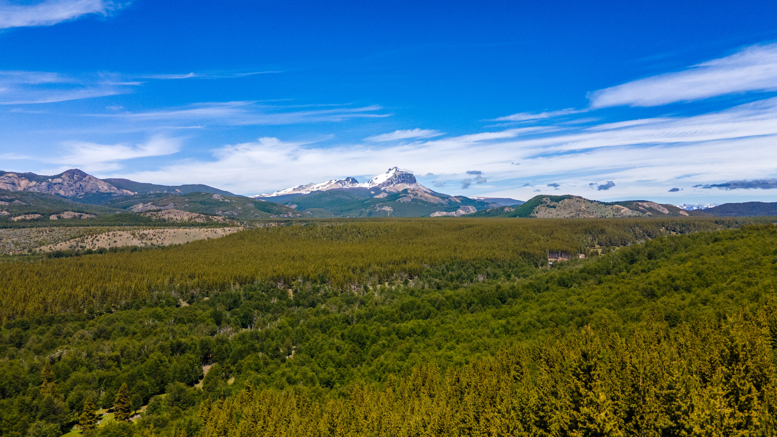 Terrenos Patagonia Broker